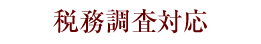 税務調査対応